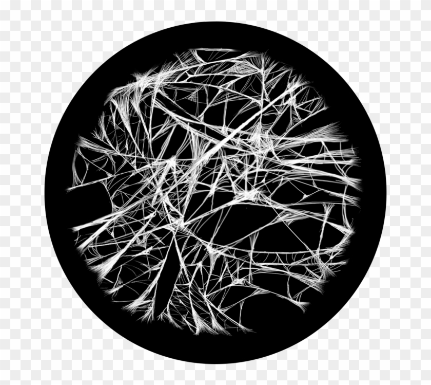 Spider Web - Circle Clipart #284279