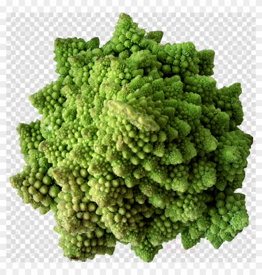 Vegetable Clipart Broccoli Cauliflower Cabbage - Png Download