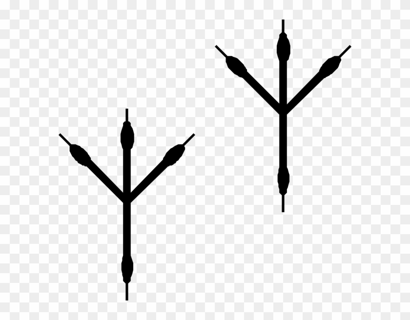 Bird Footprints Svg Clip Arts 600 X 576 Px - Png Download