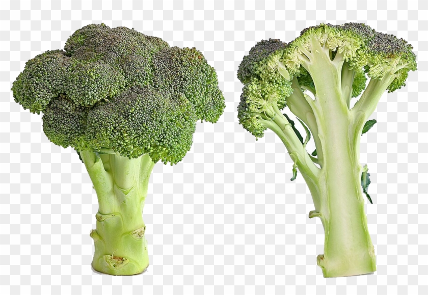 Green Broccoli Png Free Download - Bad Broccoli Clipart #284898