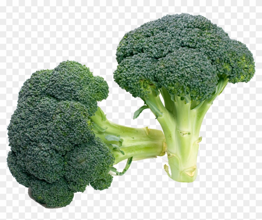 Clip Royalty Free Download Broccoli Vegetable Food - Sprouting Broccoli - Png Download