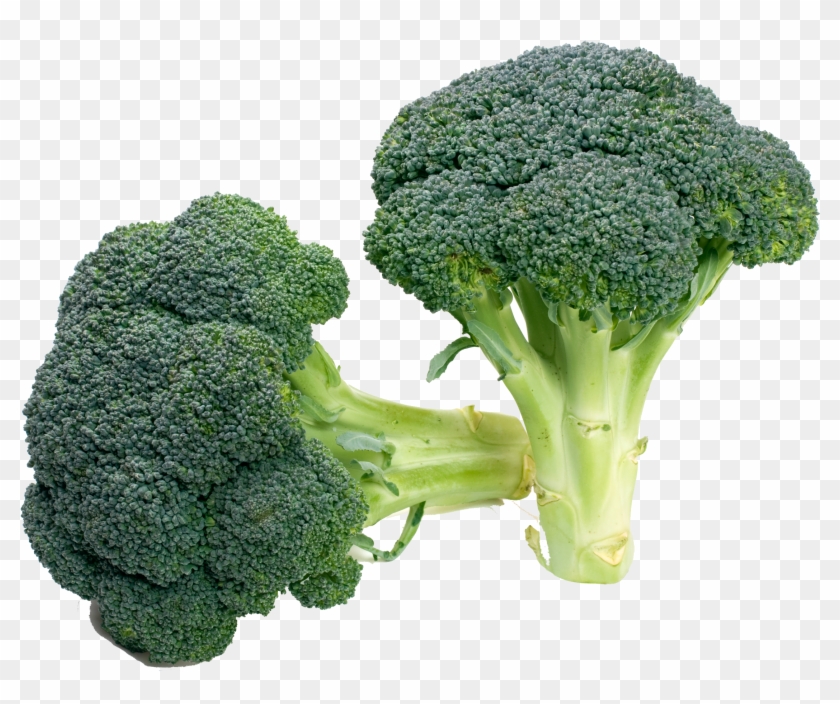 Clip Royalty Free Download Broccoli Vegetable Food - Sprouting Broccoli - Png Download #284926