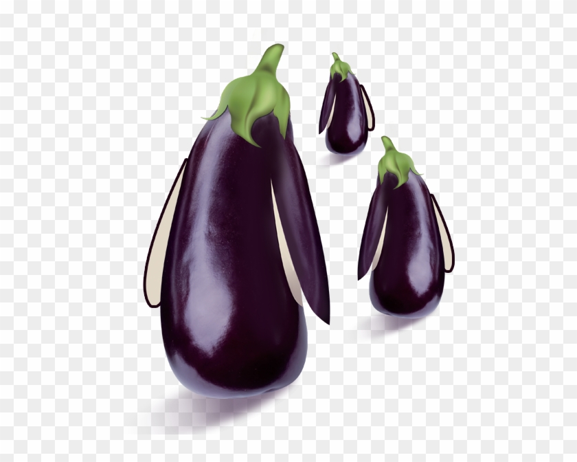 591 X 591 4 - Eggplant Creative Clipart #285834