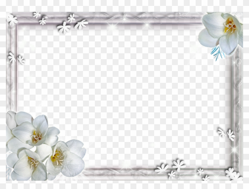White Flower Frame Png Clipart #285987