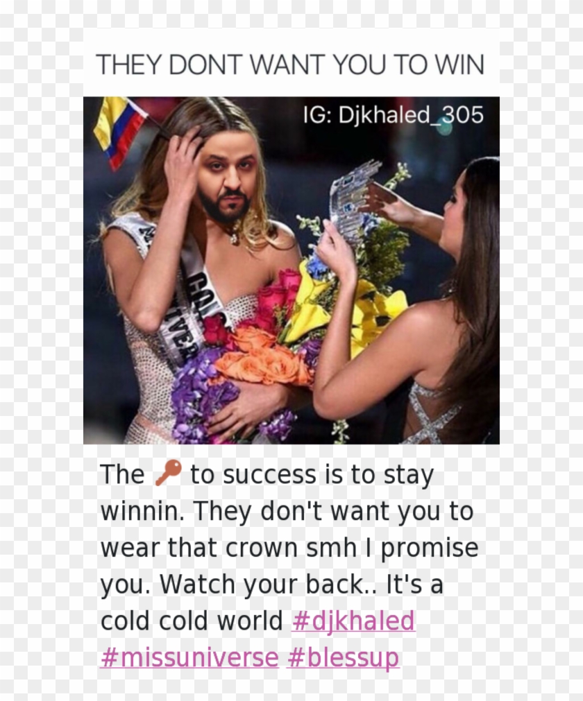@djkhaled 305 They Don't Want You To Win - Dj Khaled Twitter Meme Clipart