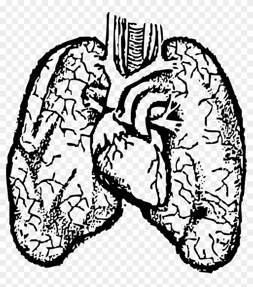 Black And White Stock Big Image Png - Lungs With Human Png Clipart #287013