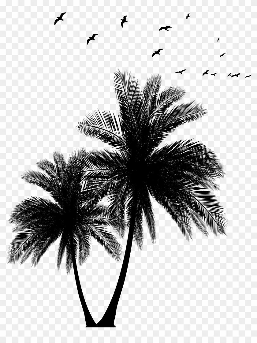 Palms And Flock Silhouette Png Clip Art Image Transparent Png