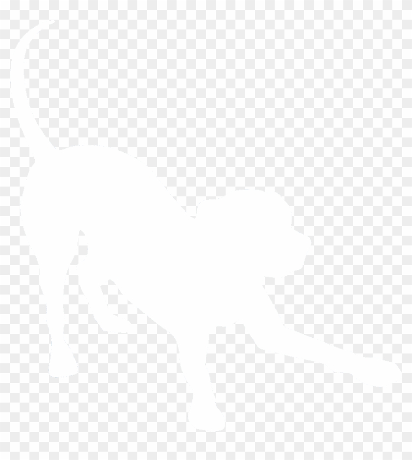 Filter Delivery Service - Dog Catches Something Clipart #288052