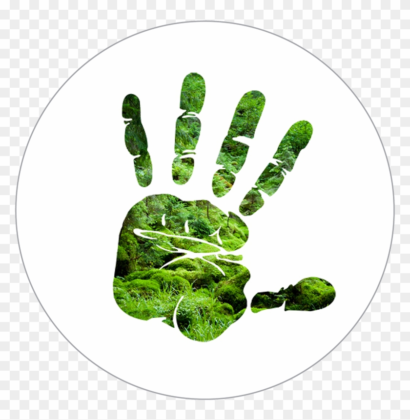 Silhouette Of Hand Over Forest Scene - Don T Touch My Phone Hand Clipart #288101