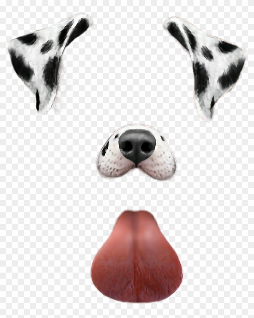 Dog Snapchat Puppy Filter Cool Love Beauty Beautiful - Transparent Snapchat Dog Filter Clipart