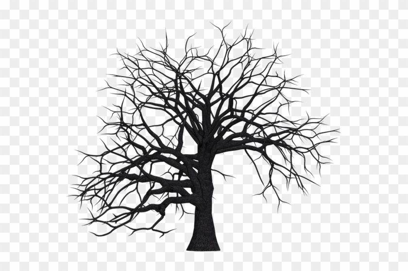 Tree, Digital Art, Isolated, Without Leaves, Leafless - Dead Trees Clip Art - Png Download