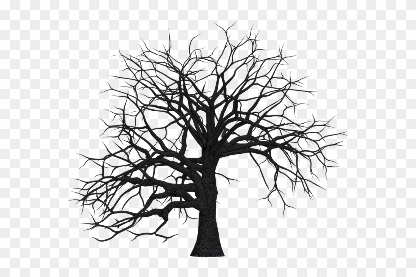 Tree, Digital Art, Isolated, Without Leaves, Leafless - Dead Trees Clip Art - Png Download #288347