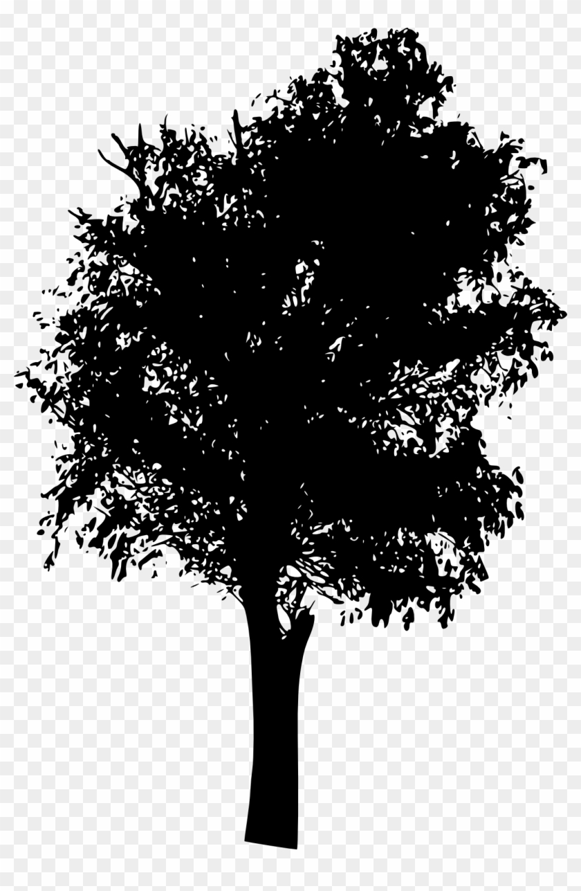 Free Download - Willow Tree Silhouette Png Clipart