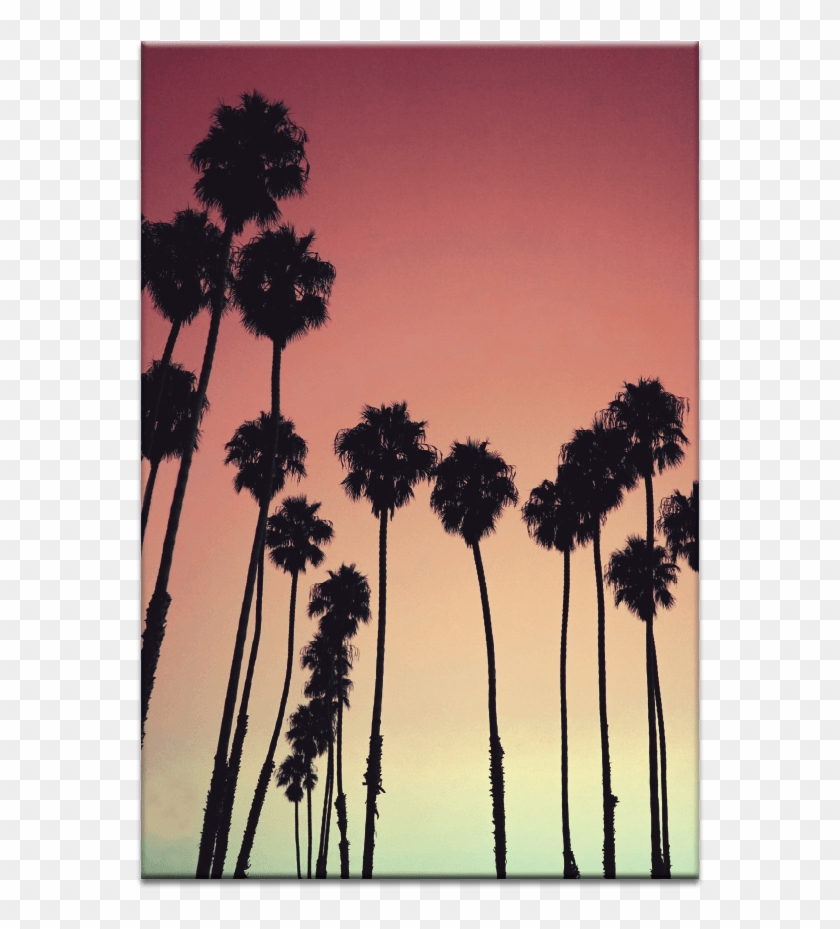 Tropical Palms - Iphone Xs Wallpaper Beach Clipart #289215
