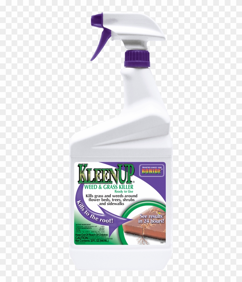 Kleenup® Rtu - Aloe Clipart (#2800931) - PikPng