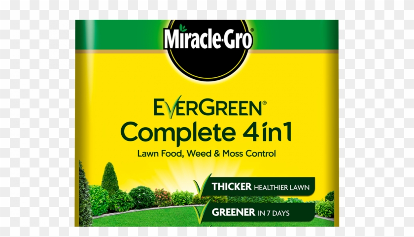 Grass Clipart #2800977