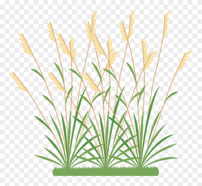 Icon 2 Weeds - Weeds Icon Clipart #2801056