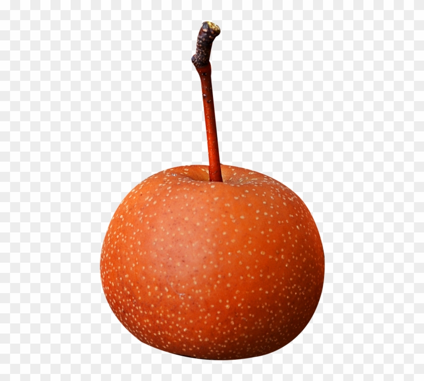 Download Asian Pear Fruit With Stem Png Image - Asian Red Pear Clipart
