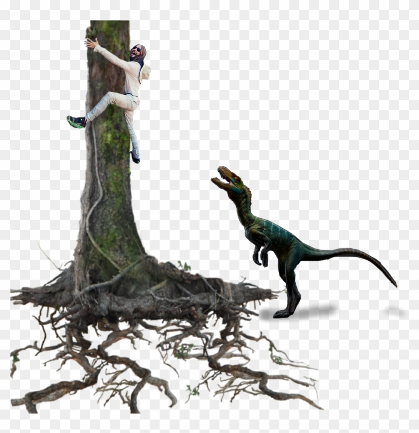 Ftestickers Tree Man Scared Dinosaur Branches Stickers - Tyrannosaurus Clipart #2803198