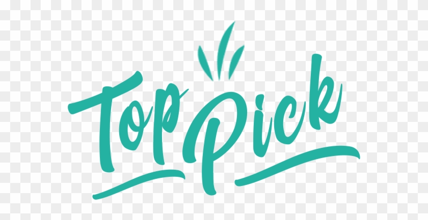 Rectangular Sunglasses For Men, Buy Men's Rectangular - Calligraphy Clipart