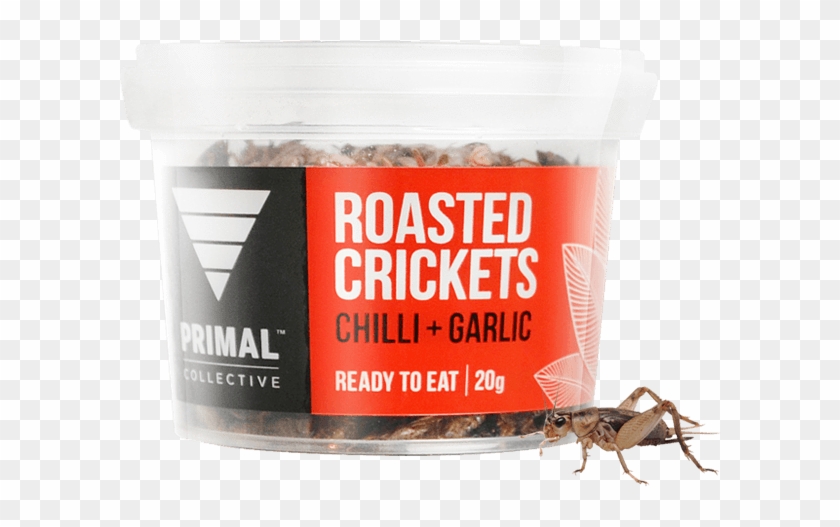 Drawing Insect Field Cricket - Cricket Clipart