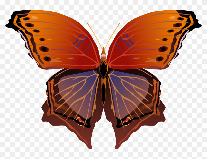 Butterfly Png Images Png - Brush-footed Butterfly Clipart