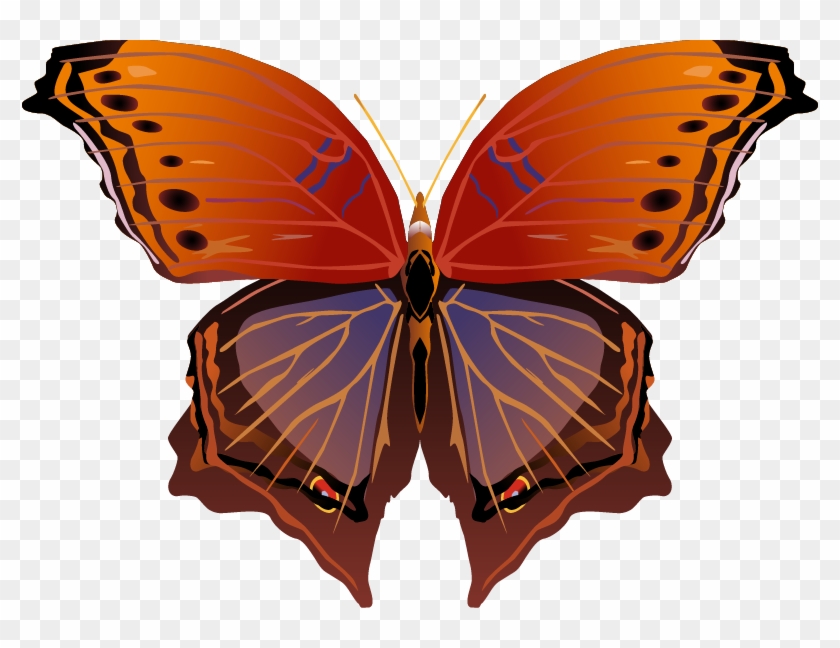 Butterfly Png Images Png - Brush-footed Butterfly Clipart #2804690