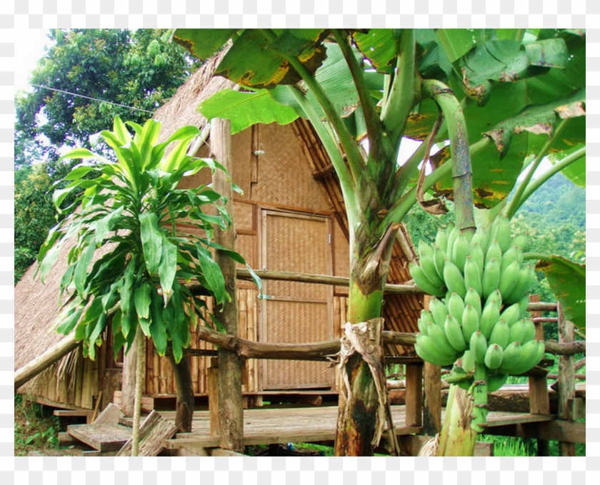 Bamboo Country Lodge $29 Clipart