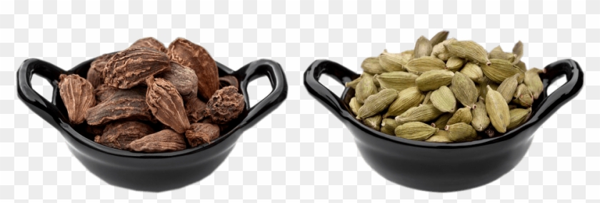 Elaichis - Sunflower Seed Clipart