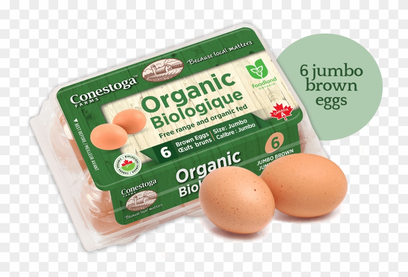 Organic Eggs - Egg Clipart