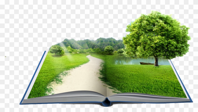 Natural Mortgage Jsc Federal Loan Fixed-rate Trees - Grass Trees In Books Clipart #2809846