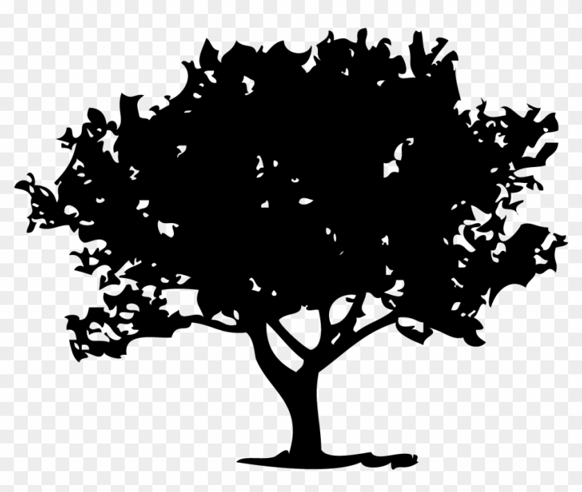 Fig Tree Marketplace Site Icon - Fig Tree Silhouette Png Clipart #2811052