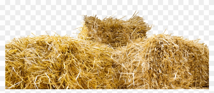 Top Of Straw Bales Transparent Png - Hay Bale Transparent Clipart