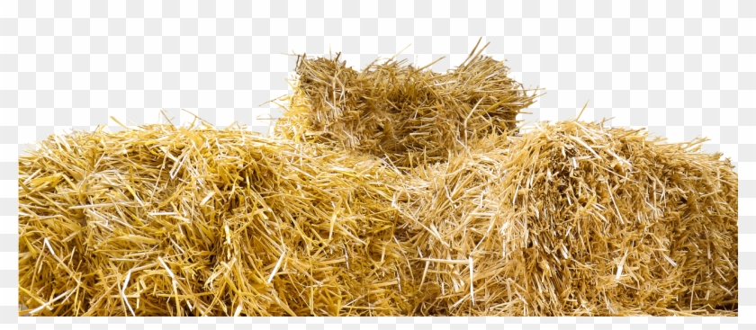 Top Of Straw Bales Transparent Png - Hay Bale Transparent Clipart #2812366