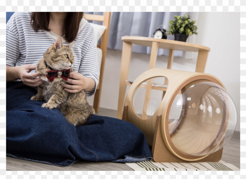 Spaceship Alpha Ultra Modern Cat Bed - Tabby Cat Clipart