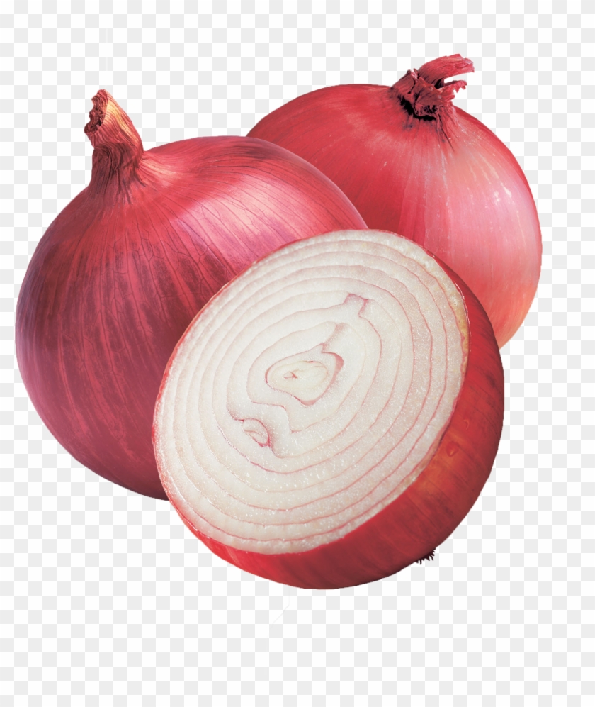 Onion Png Hd Wallpaper - Transparent Background Onion Png Clipart