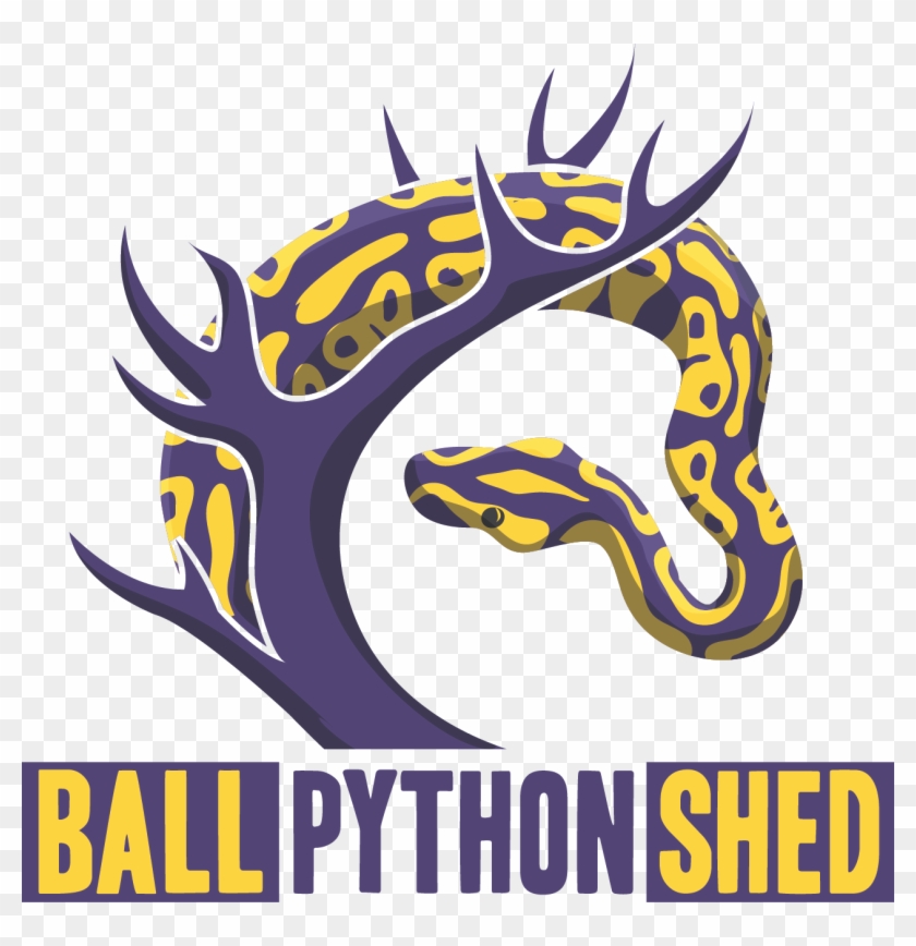 Python Logo Clipart Ball Python - Illustration - Png Download #2814521