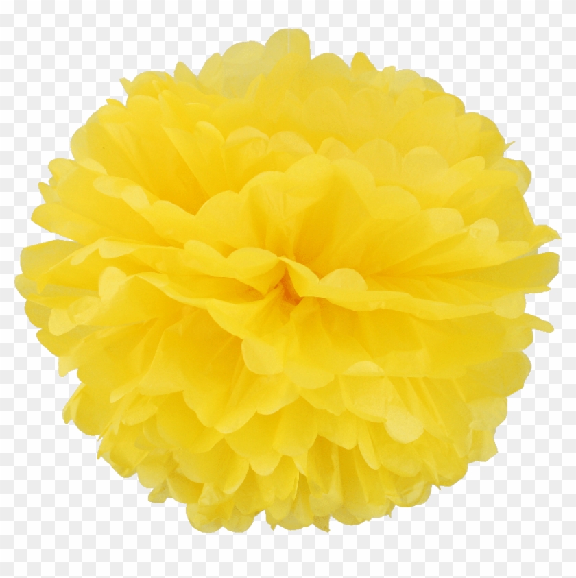 Round Tissue Pom Poms Yellow - Pom-pom Clipart #2815246