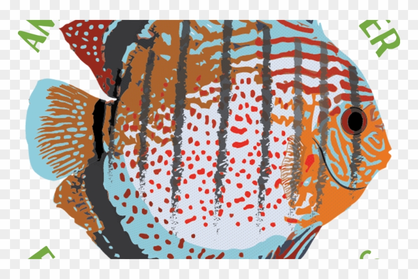 News Room - Coral Reef Fish Clipart #2815311