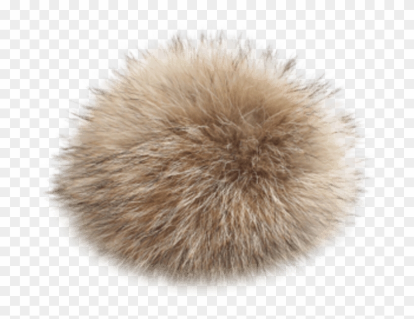 Coyote Fur Pom - Transparent Fur Png Clipart #2815392
