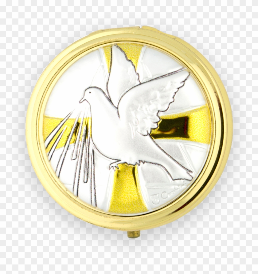 Circle Clipart #2815612