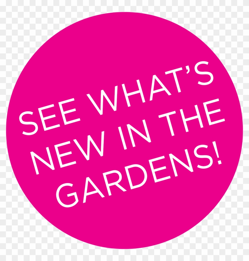 Take A Look At What's Going On In The Gardens This - Printing.com Carlisle Clipart