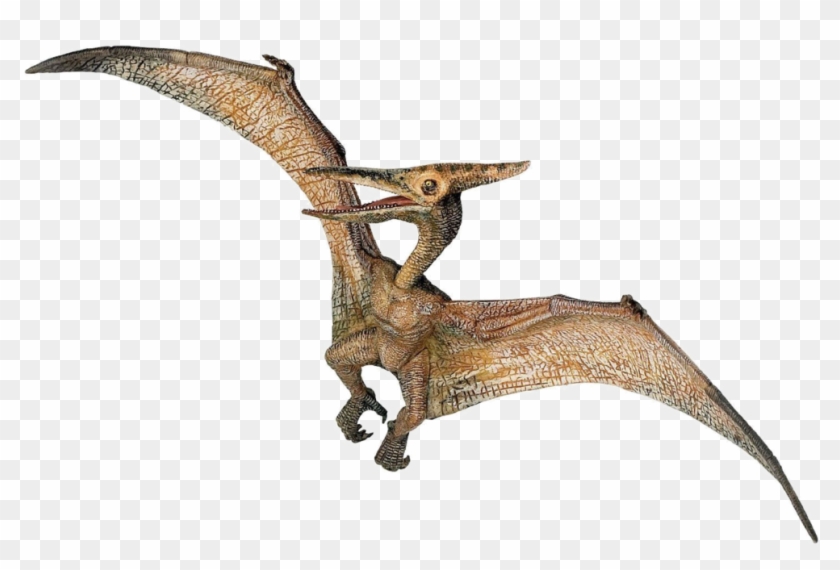 Jurassic Park Playfield Pterodactyl , Png Download - Pterodactyl Dinosaur Clipart #2816506