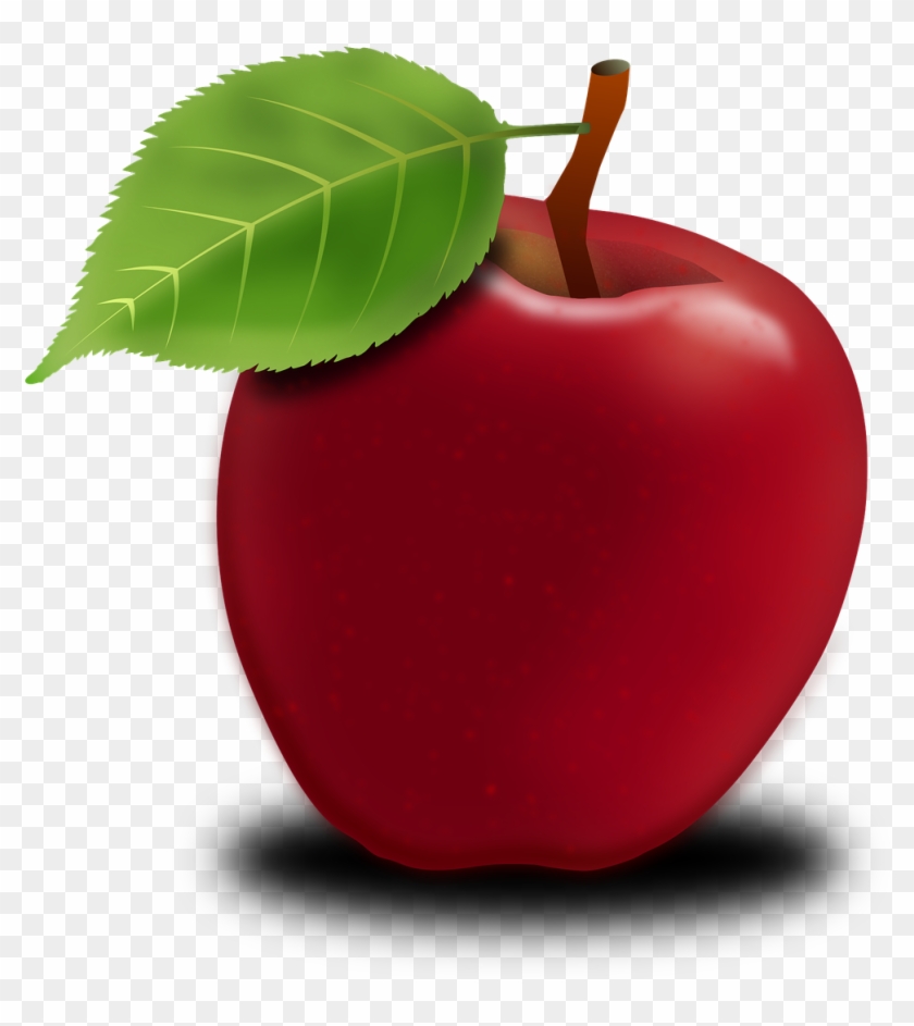 Apple Apple Tree Fruits Fruit Png Image - Jablko Png Clipart #2816628