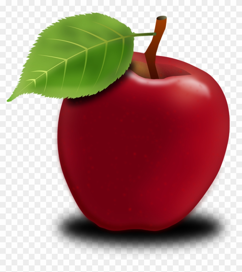 Apple Apple Tree Fruits Fruit Png Image - Jablko Png Clipart