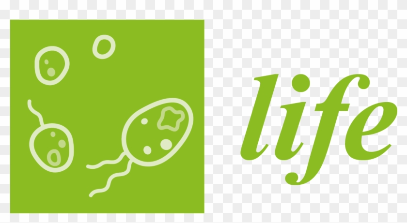 Life Png Images - You Don T Need Negativity In Your Life Clipart