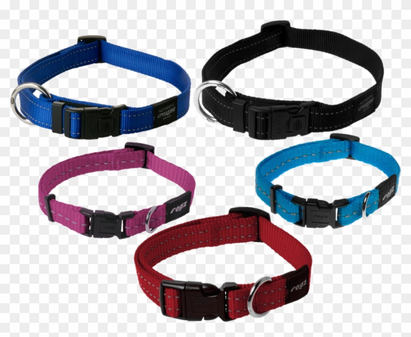 Free Icons Png - Rogz Collars Clipart