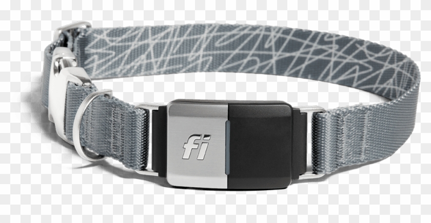 Image Of The Collar In A Grey Band - Belt Clipart #2819553