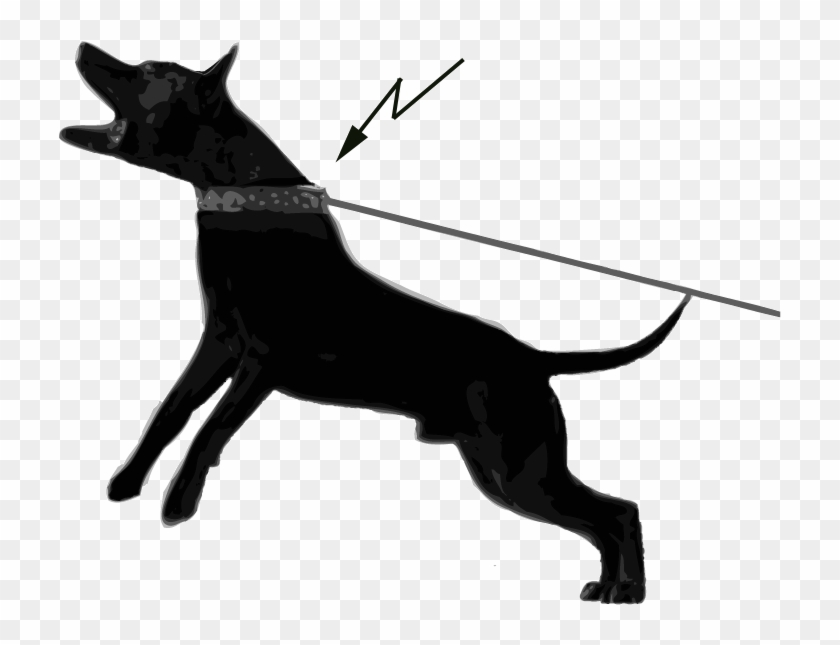 Research From Sweden Shows That 75 % Of Active Dogs - Warning Dangerous Dog Sign Clipart #2819630