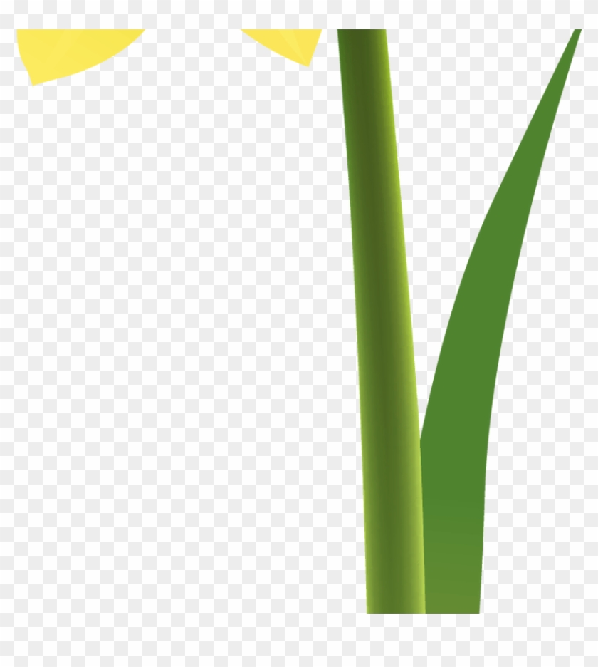 Spring Yellow Daffodil Png Clipart Gallery Yopriceville - Grass Transparent Png #2820059